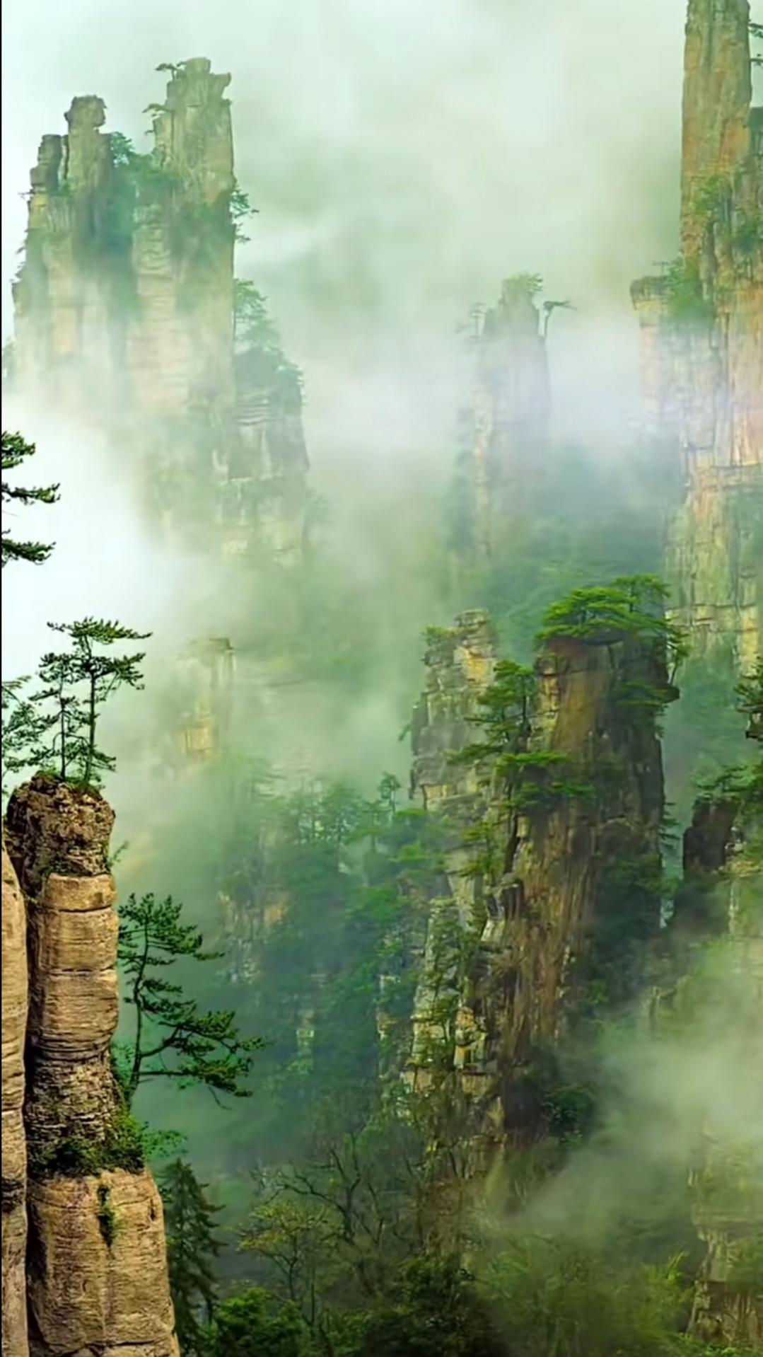 峰林藏秀，沉醉张家界早听闻湘西隐匿着一处秘境，藏有天地雕琢的旷世奇景，那便是张