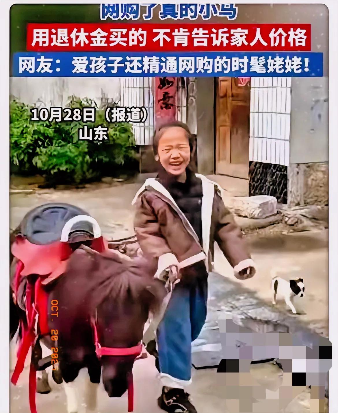 取快递看到活物直接懵了！山东女婿这遭遇，全网都羡慕哭了。谁能想到取个快递能