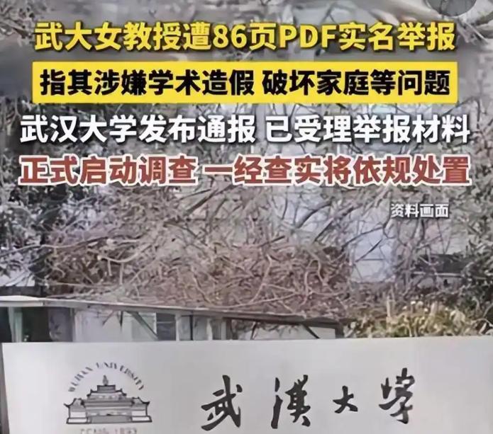 武大又摊上事儿了，真的毫不夸张的说，武大这几年的热搜，简直是一年一小闹，两年一大