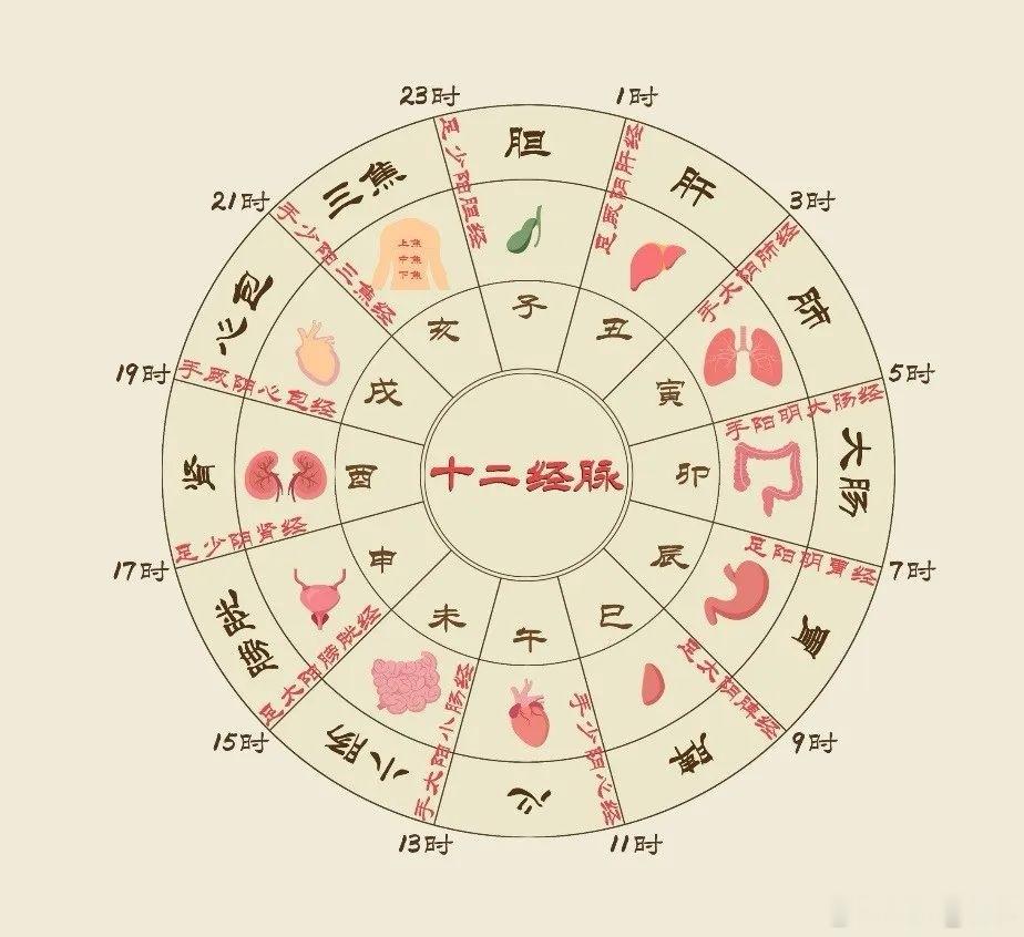 此方出自《医学衷中参西录》，书中没有给出固定标准克数，原书为饮片制，是汤剂思路，