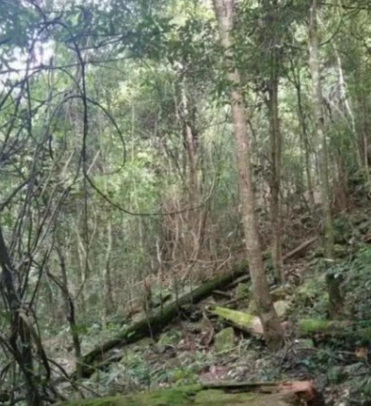 如果发生战争躲在山里安全吗？这么说吧，逃山者能十存七八，但逃湖者只能十存一二，往