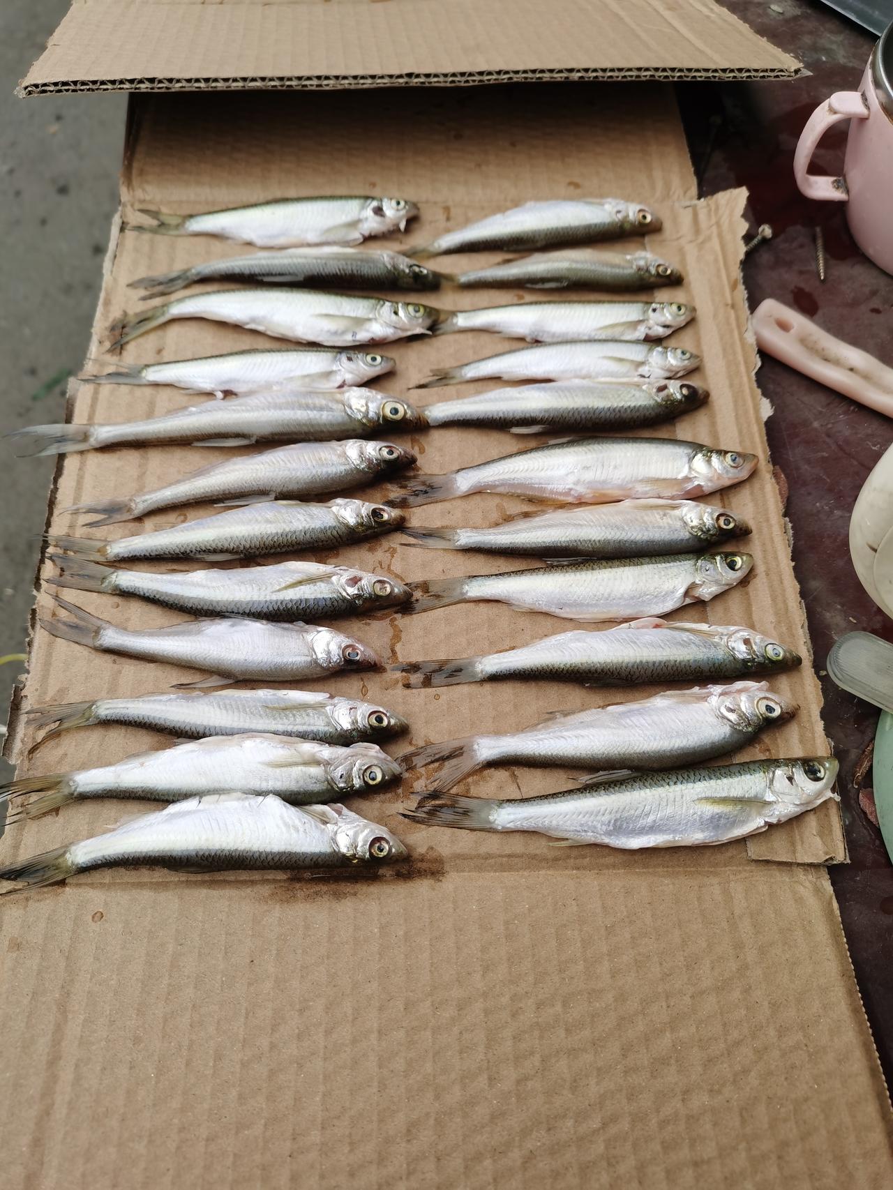 最近很多朋友问我五粮液见底了没有，能不能入手，这里统一回复一下。