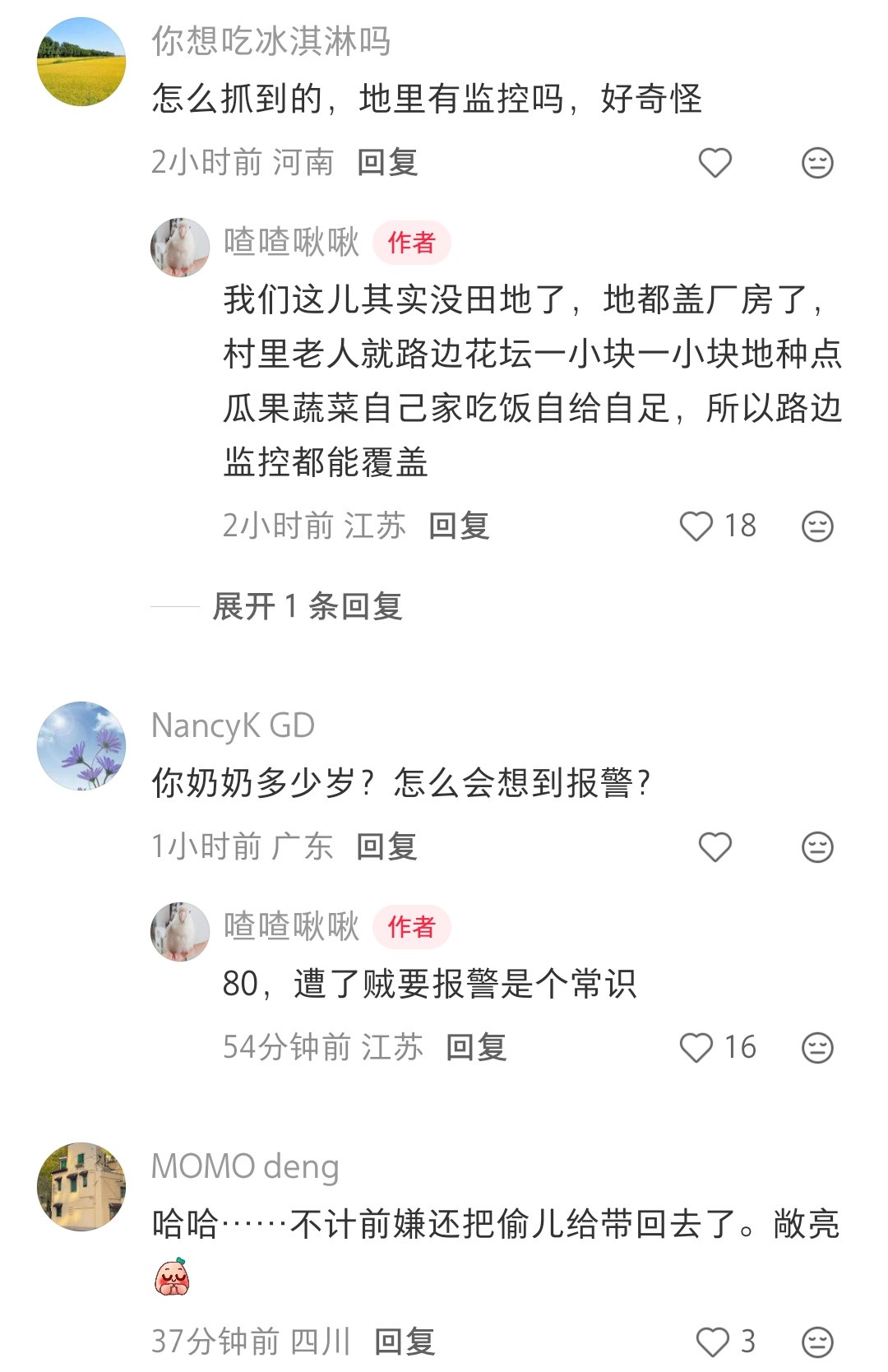 老奶奶的玉米被偷了十五个，jc马上抓到了小偷。最后赔了100，小偷还是坐着她家的