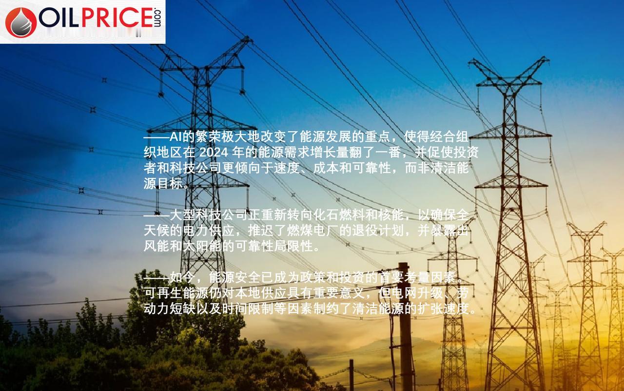 能源投资者调整策略，将重点从清洁能源转向确保电力供应多年来，能源投资者纷纷涌