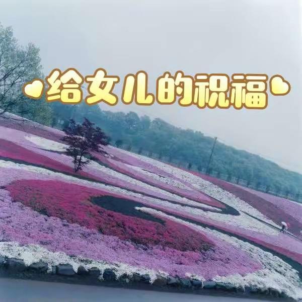 给女儿的祝福。视觉盛宴治愈系风景花境设计自然风光