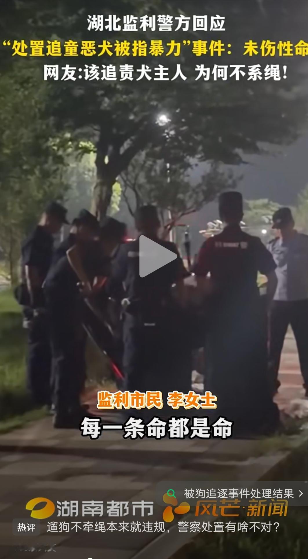 如果恶犬追孩子你是要顾孩子还是要尊重恶犬性命？7月4日晚间，湖北监利市滨江公园