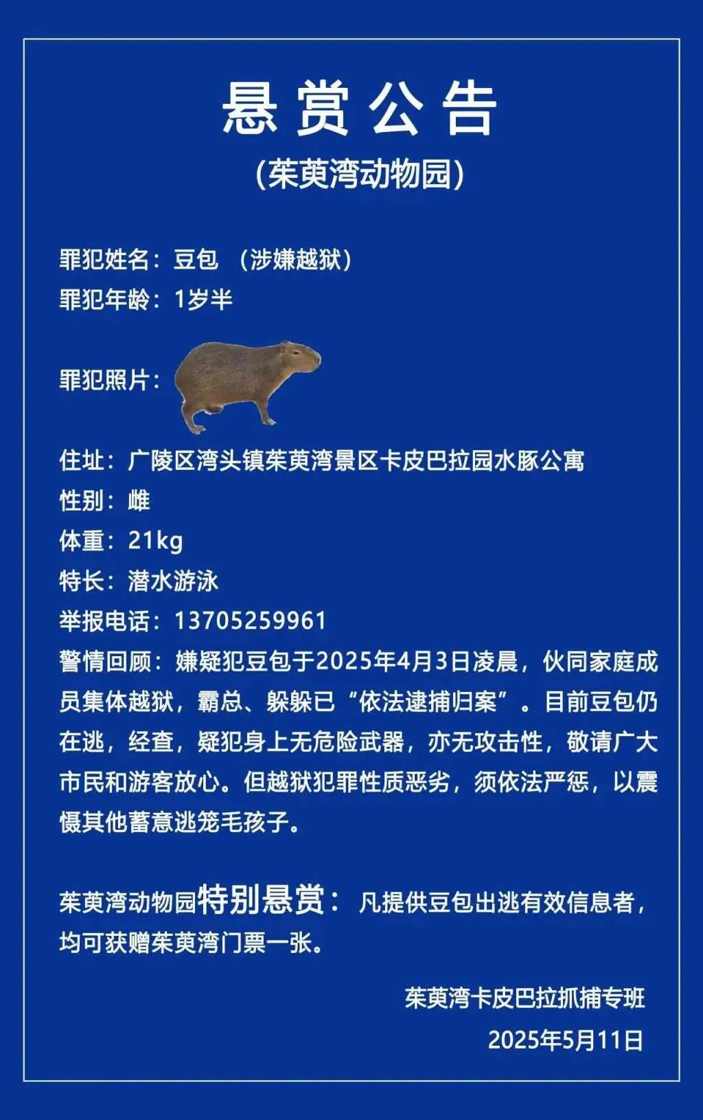 嫌疑犯豆包于2025年4月3日凌晨，伙同家庭成员集体越狱，霸总、躲躲已“依法逮捕