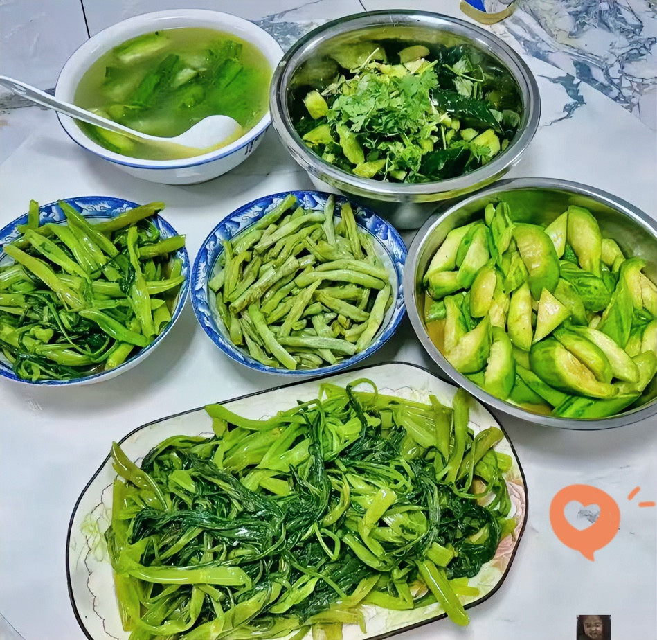 儿子女朋友嫌我做饭太难吃，非要儿子给她点外卖，大热天，我辛辛苦苦的做了一桌菜，居