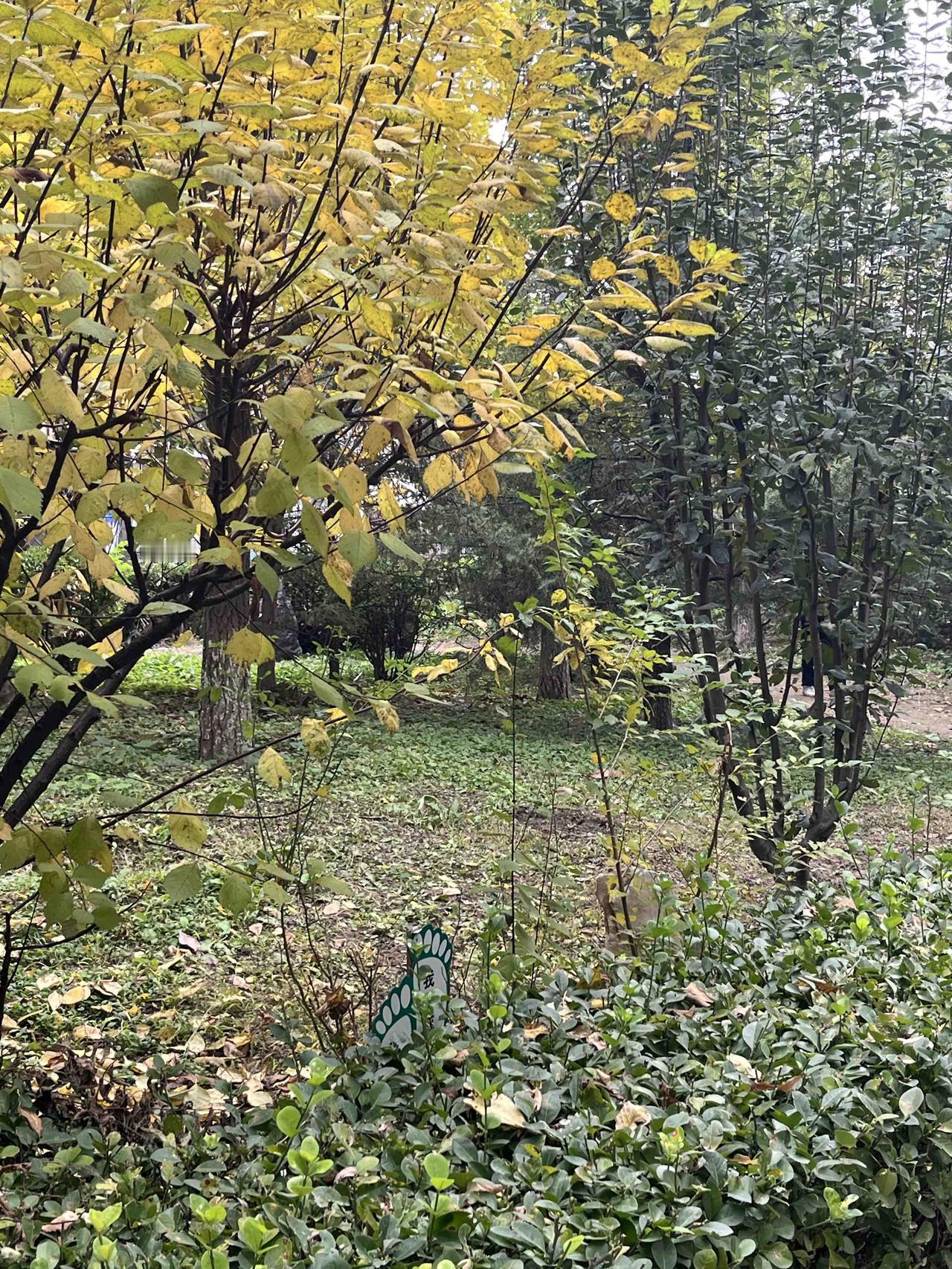 朋友终于出手买房了，他是聪明还是傻蛋？房价真的要涨了？朋友一直想在北京给儿子