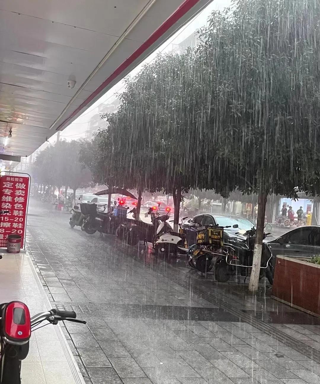 成都的雨不下便罢，一下就收不住。而且都是罕见的暴雨和大雨级别，尤其是前天下午那场