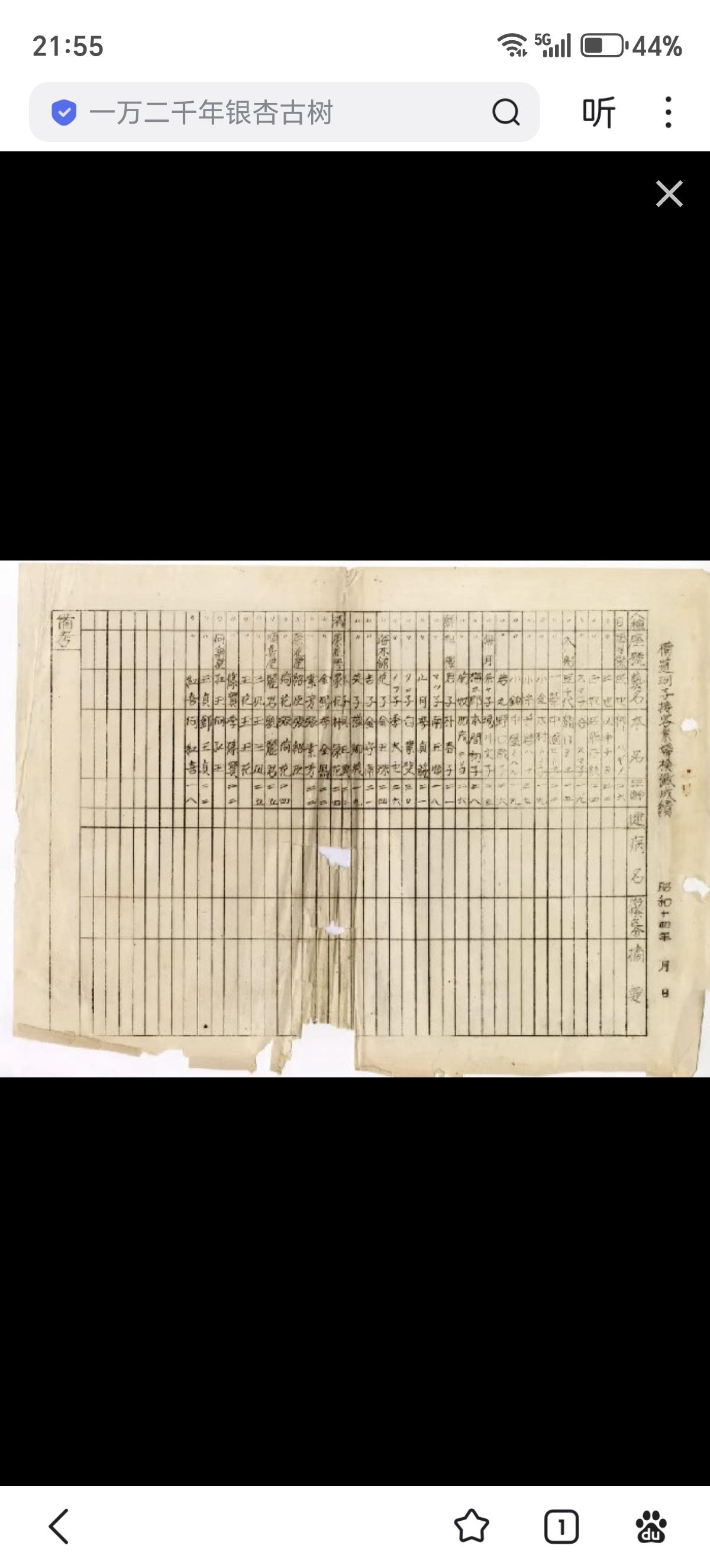 这是一份日军野战医院为日军“慰安妇”制度受害者所做的体检表格，记录了“慰安妇”的