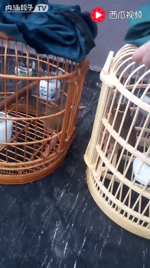 中变靓装传奇sf游戏截图4