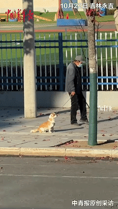“解释不清了！”吉林永吉，一老人带着小狗出门遛弯，本是寻常场景，可接下来小狗的举