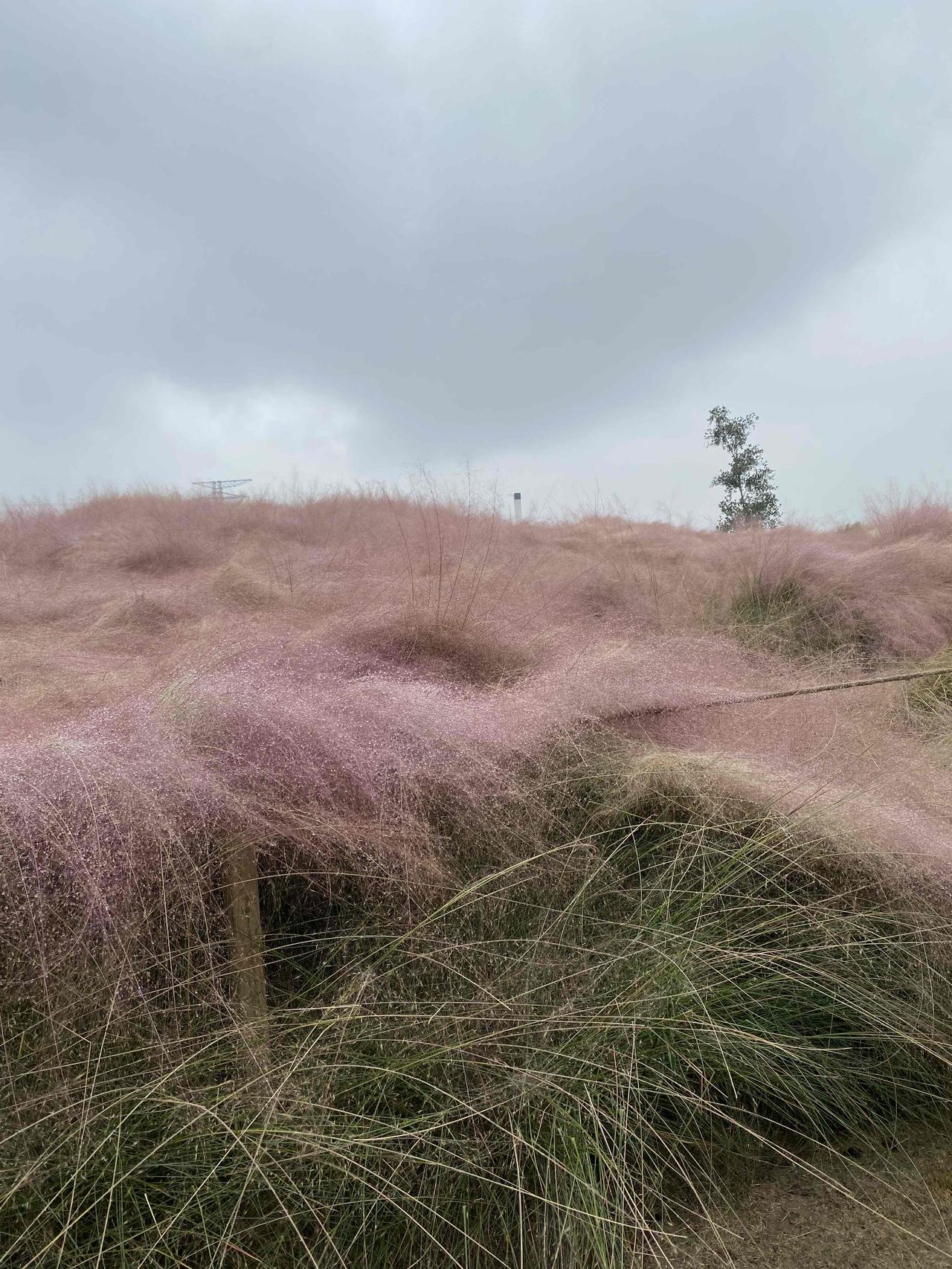 老公懒，是因为老婆太勤快；孩子懒，是因为妈妈太勤快！昨天晚上我去学校开家长会