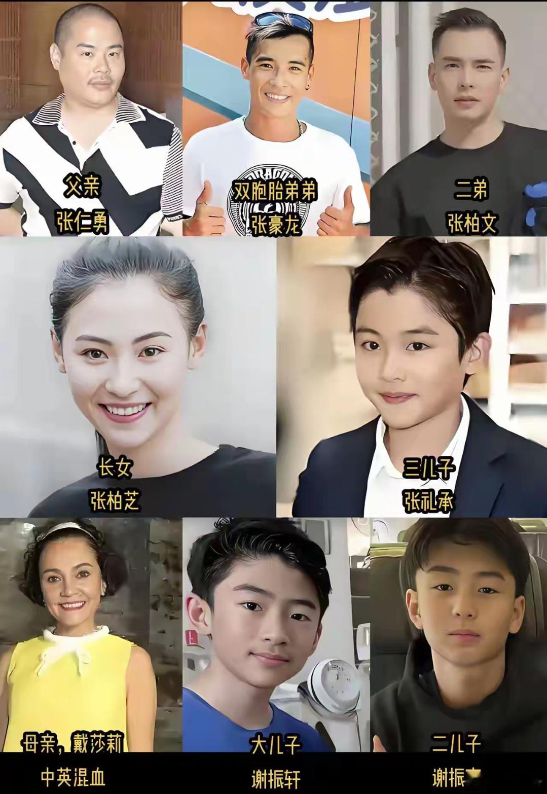 张柏芝家族，个个五官端庄！​​​