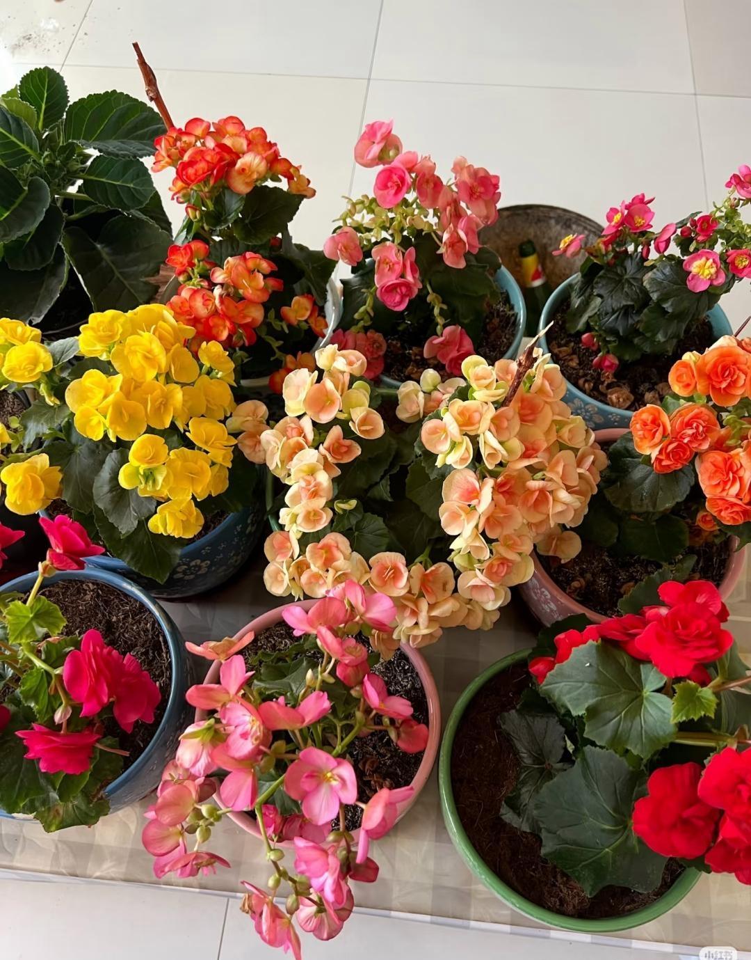 儿子是一名律师，过年回家，我随口问他现在一个月工资多少，他只是笑了笑，说不想说。