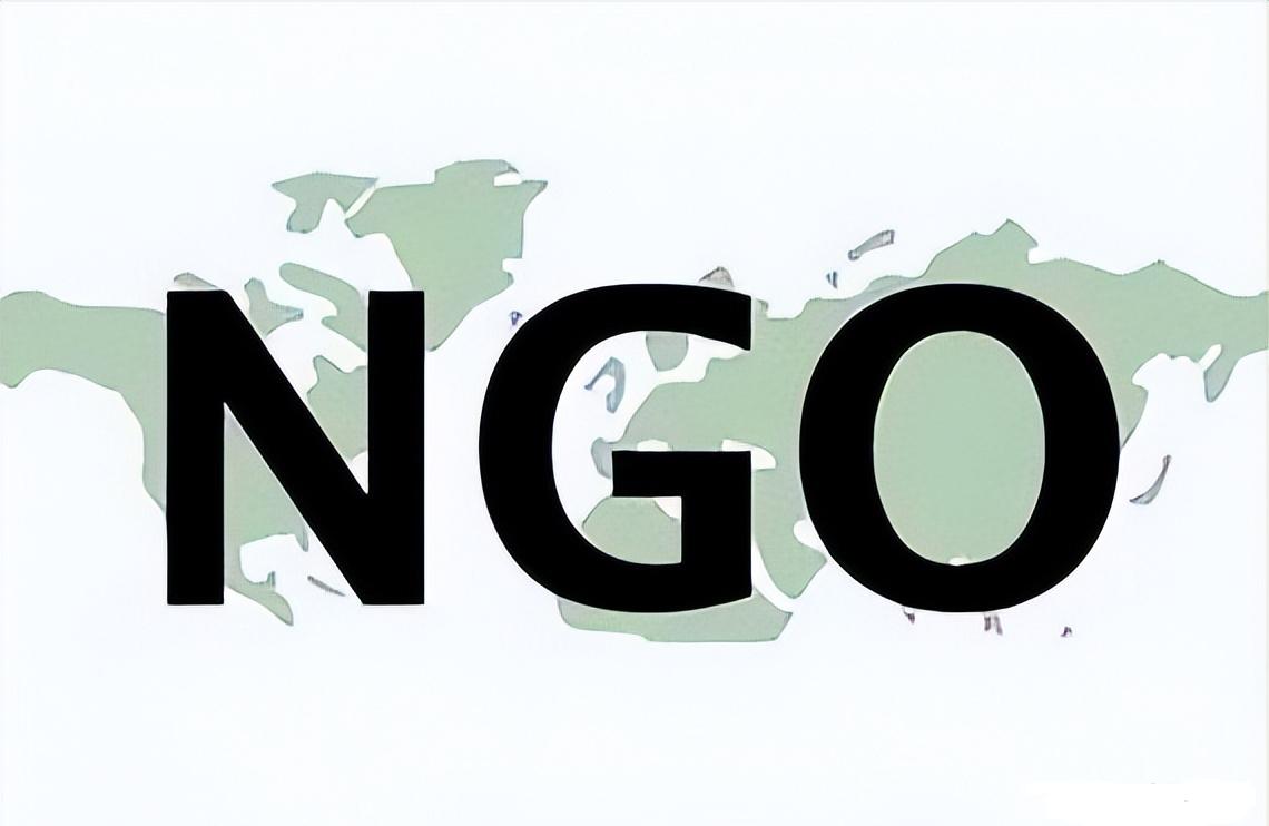 好消息，国内已在统计接受过境外NGO资助的人员！所谓NGO，中文意思是非政府