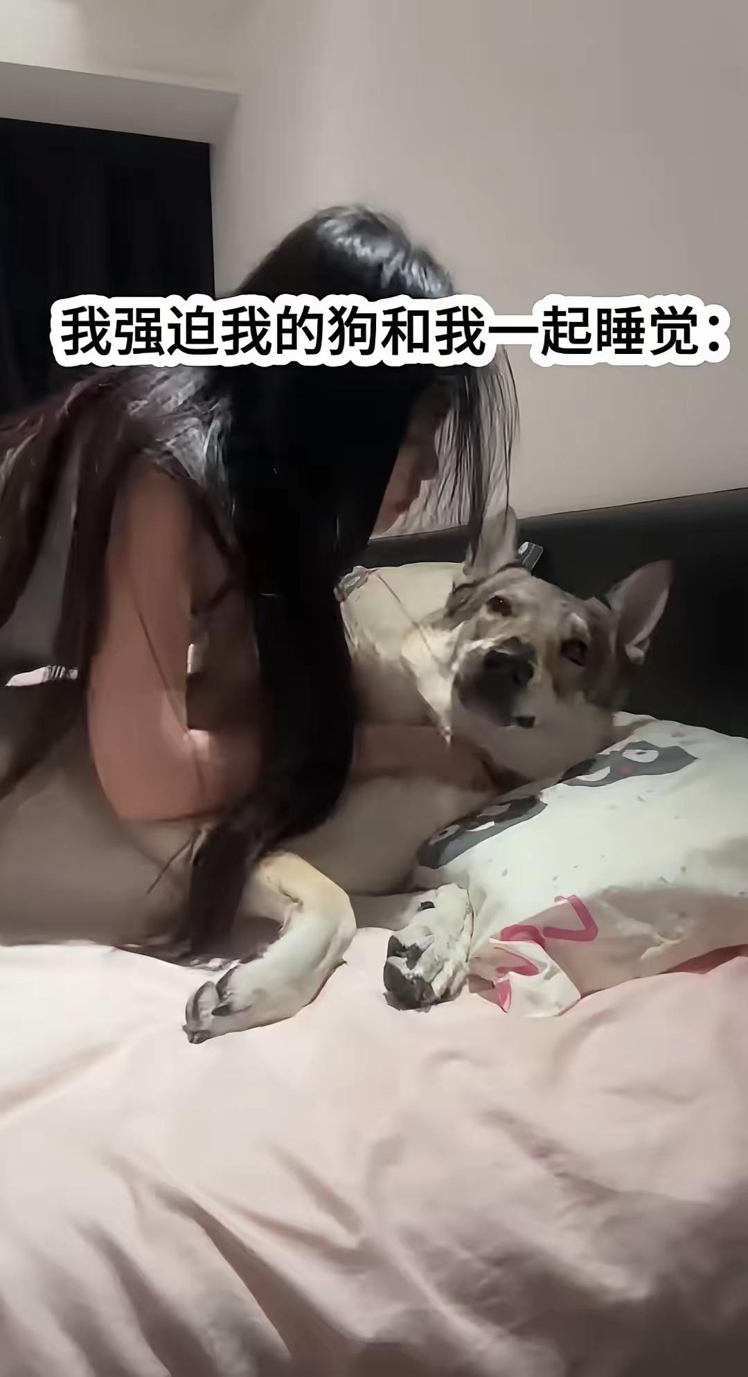 不明白有些人为什么非要跟狗睡觉？？这是故意拍的，还是真实的呢？有句话怎么