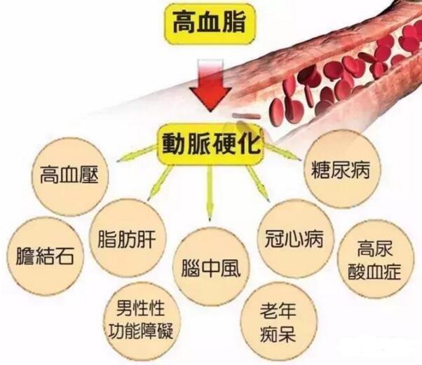 高血脂患者为你总结6招，坚持做好！