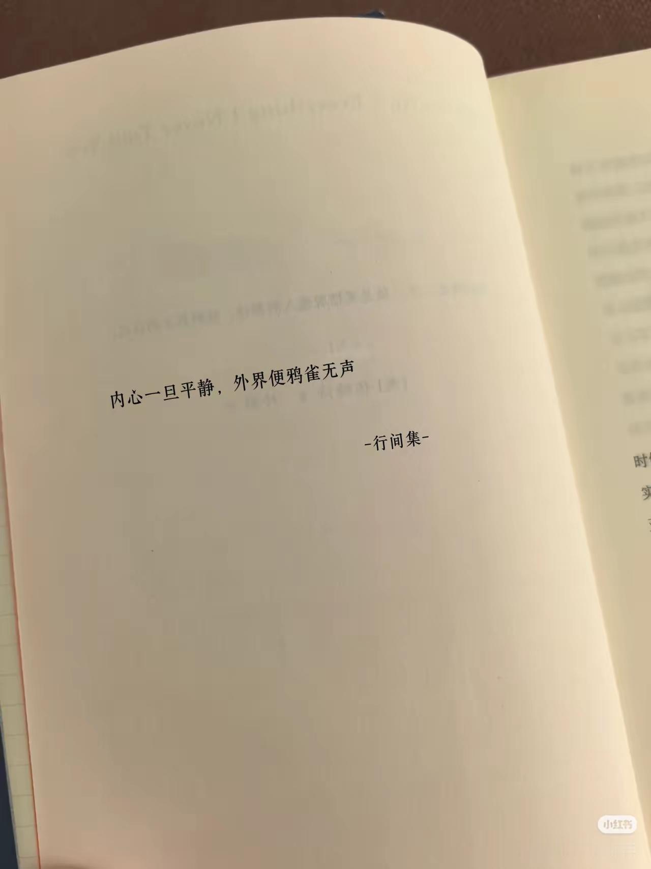 这句话让我突然释怀了