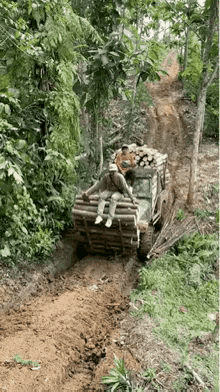 这个开车的大哥，绝对是个高手。