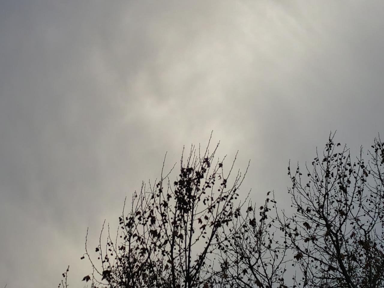 人的普遍特点是共性，共性就是人性，人共有的才是人性，自私是少不了的，自然有恶的一