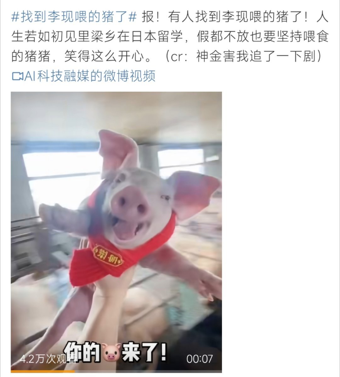 找到李现喂的猪了找到李现喂的猪了呀！这个你来看看吧​​​