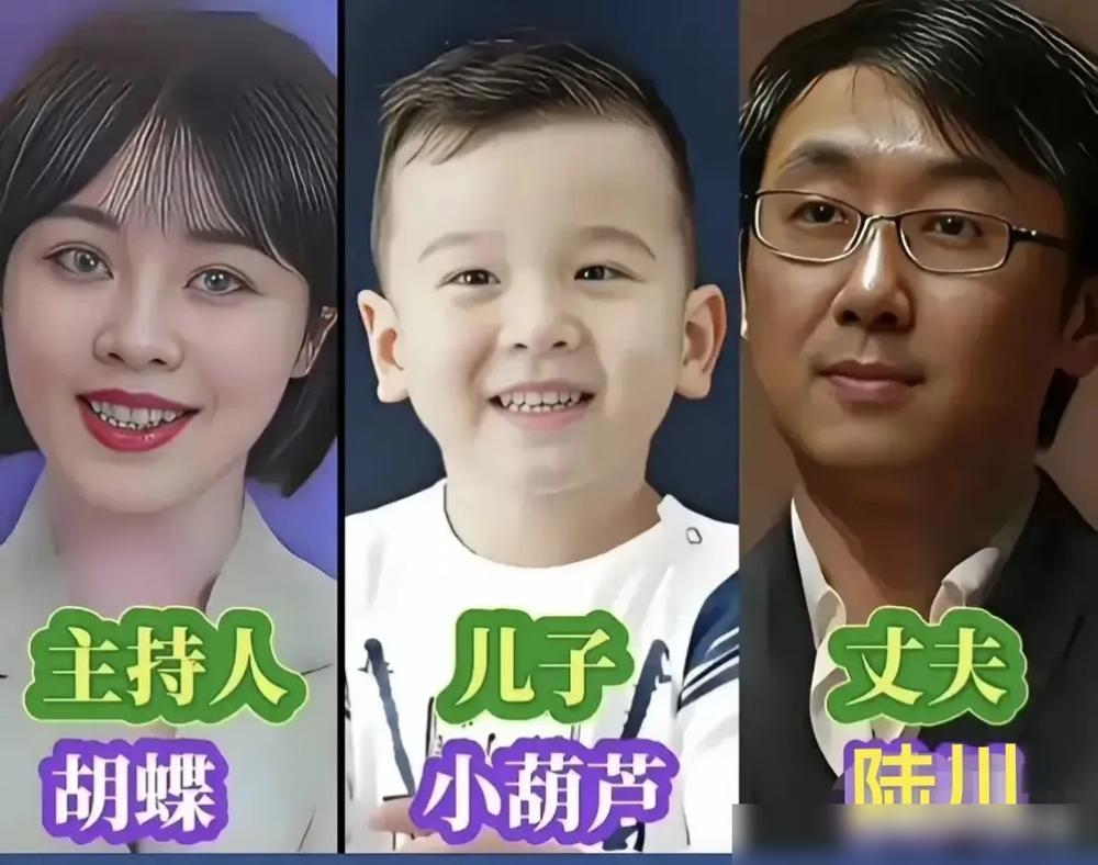 一句“不会吧”，让白岩松被年轻人整整指着鼻子骂了5年。想当年，这位央视名嘴