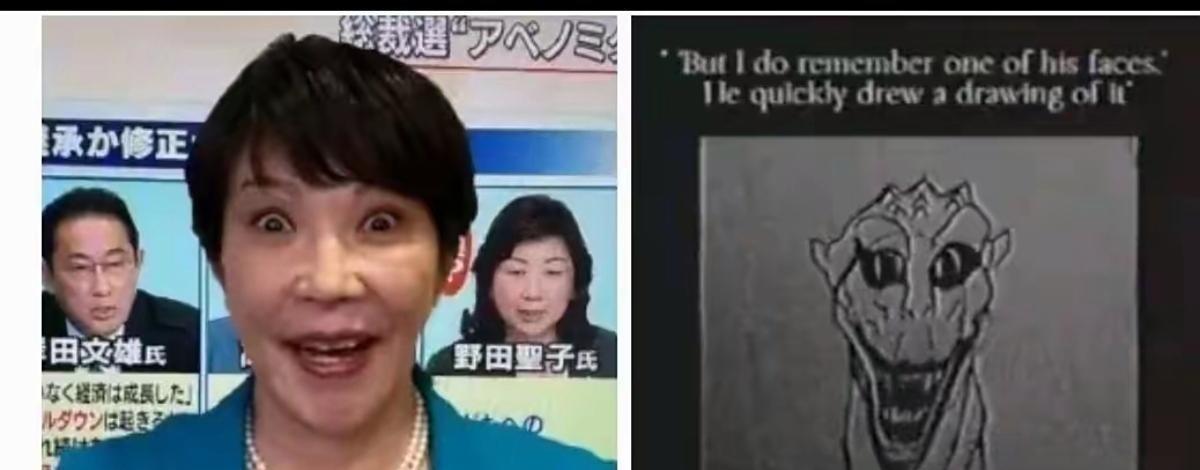 复旦大学沈逸教授被公知们围攻？就因为描述了高市早苗的外貌…近期高市早苗，将坐上
