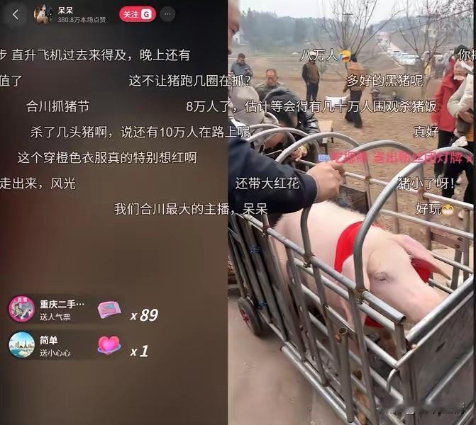 9万人在线围观，线下堵车几公里，一场杀猪宴杀出400万点赞？网友：隔着屏幕都闻到