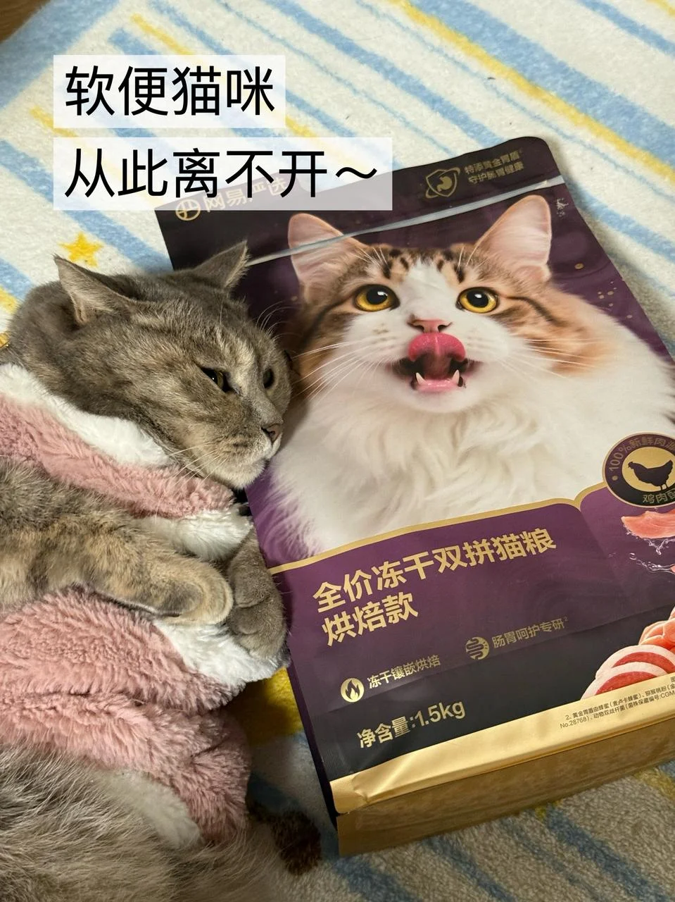 听我一句劝，软便猫咪真的别乱喂了！