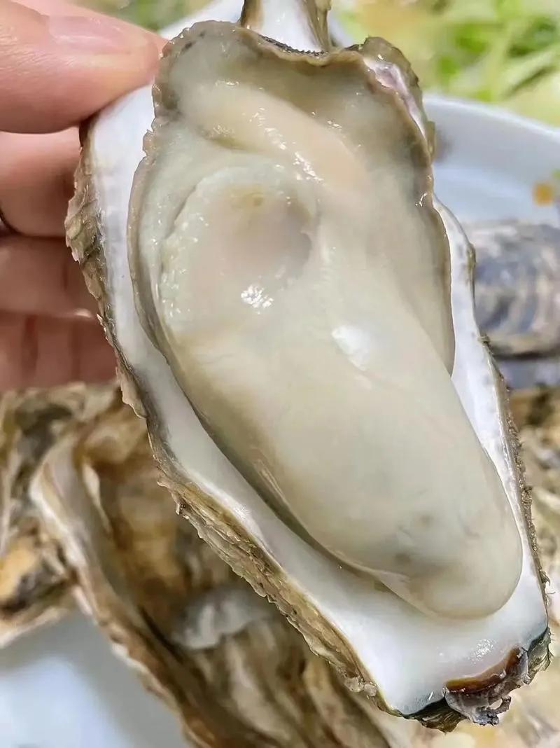 男人可经常吃的“15”种食物:1、生蚝2、黑枸杞3、韭菜籽4、韭菜5
