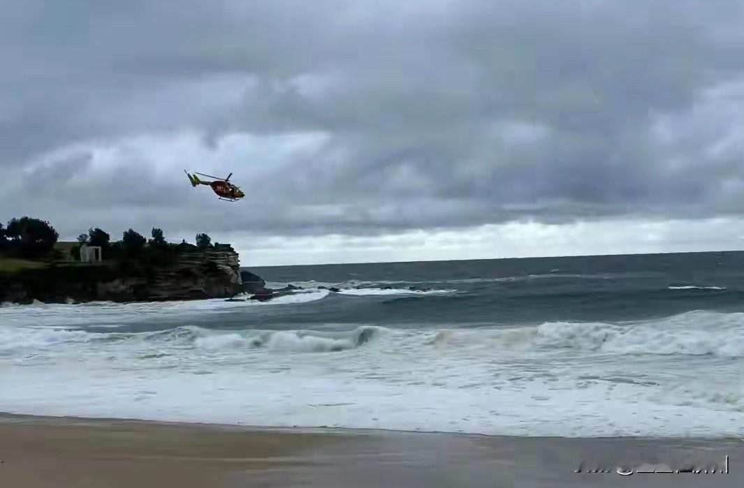 元旦在悉尼失踪的25岁女孩，已经确认遇害，遇害原因也调查清楚了，令网友疑惑