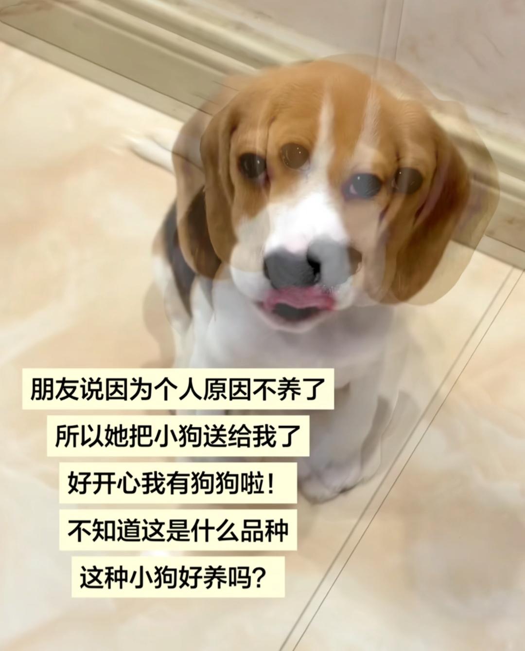 好养[doge]