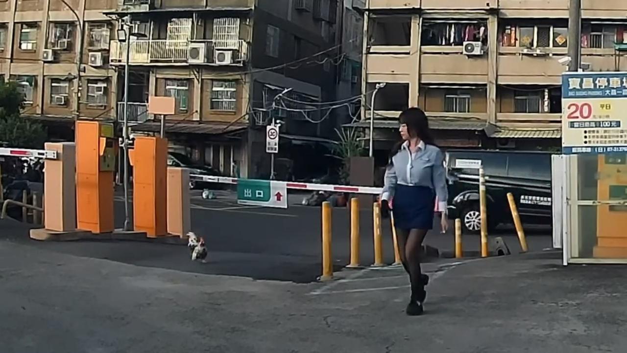 公鸡爱喝死、、黑丝？被公鸡追着跑的“RunningOL”！台湾网络近日疯传1