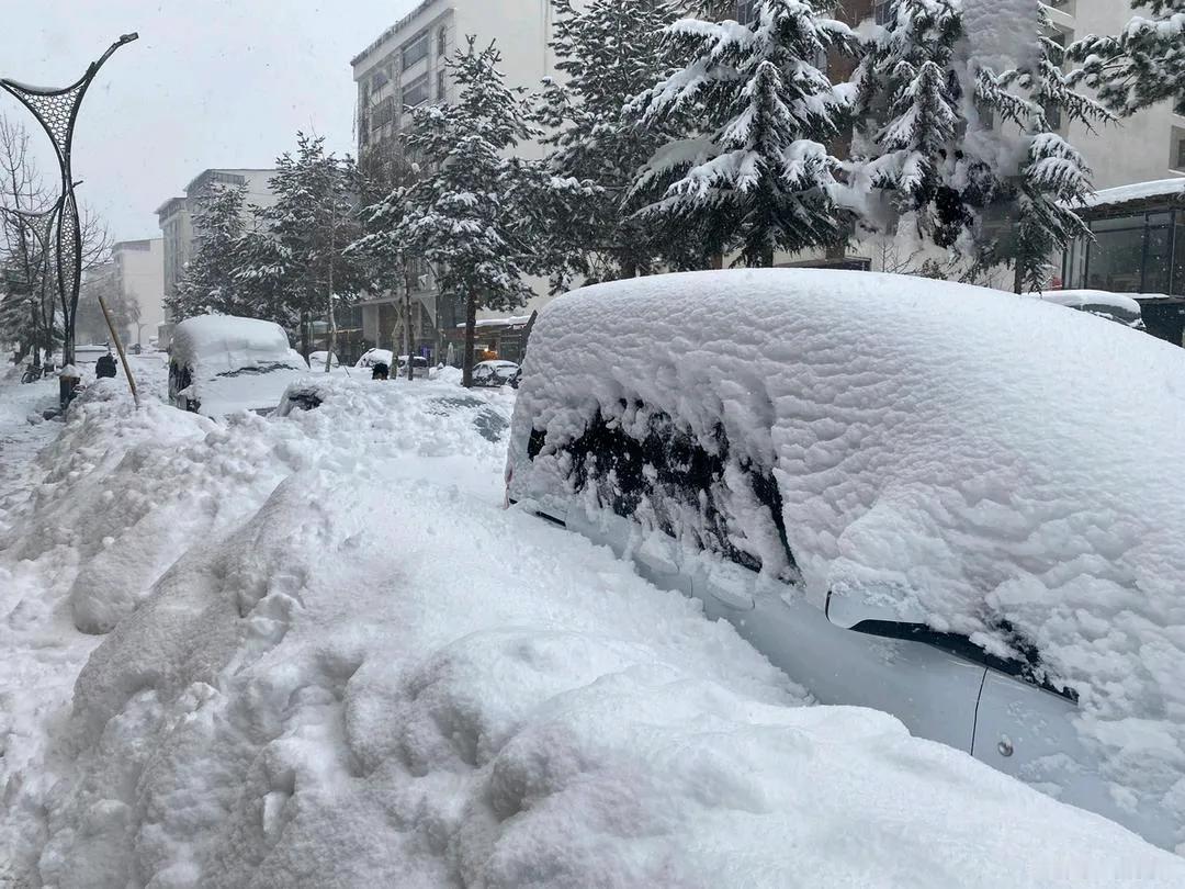 明后两天河南将迎来大风暴雪？最低温度-11℃？没记错的话冬季零下10度以下还
