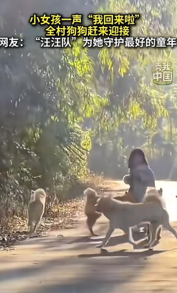 “太有爱了！”近日，广西，一女孩站在村依次叫着狗狗们的名字，大喊“我回来啦”！话