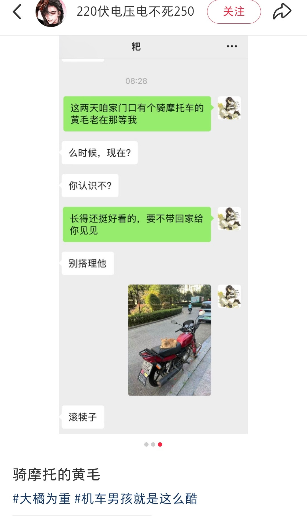 小黄毛​​​