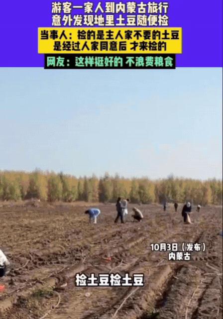 男子一家三口去内蒙古旅行，意外发现路边地里有很多土豆，竟然跑到地里捡土豆，主人家