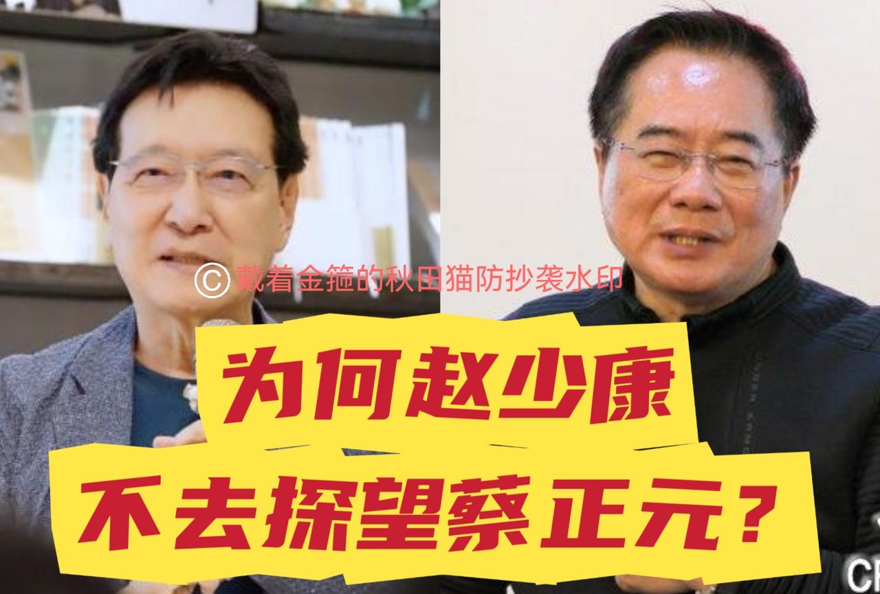 赵少康，与蔡正元同属蓝营、同是媒体人，为何他不去探监看望？虽然蔡正元、赵少康