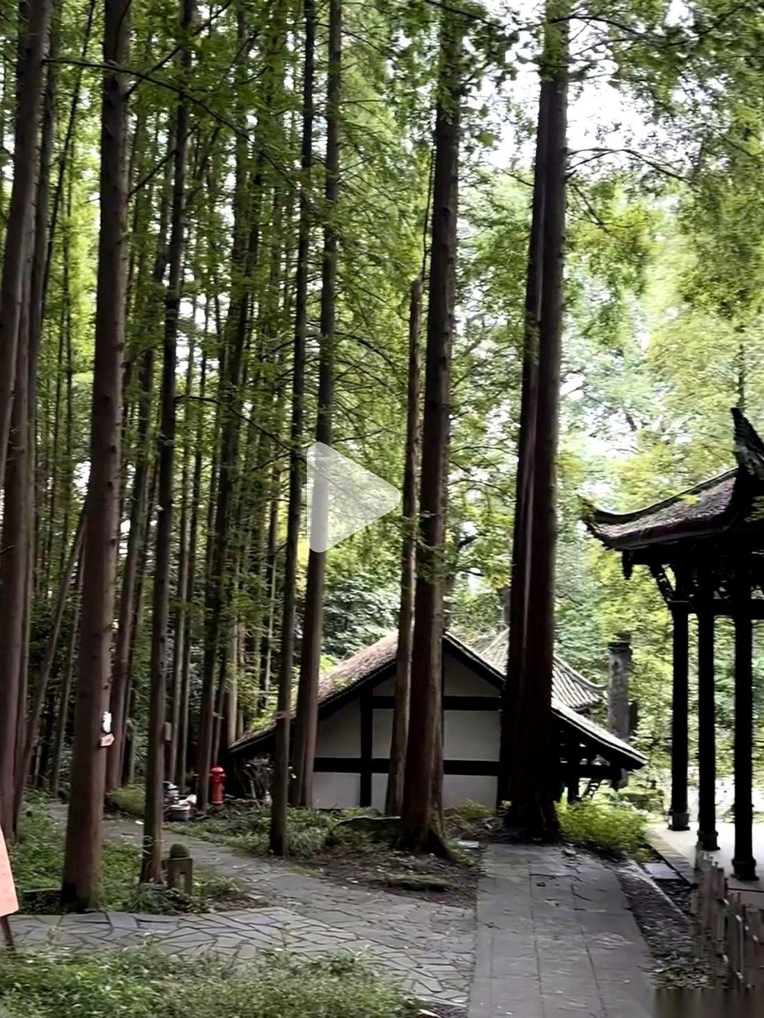 72岁的大姑执意要搬来我家养老，我老公在电话里当场回绝。大姑没了老伴，但亲儿子