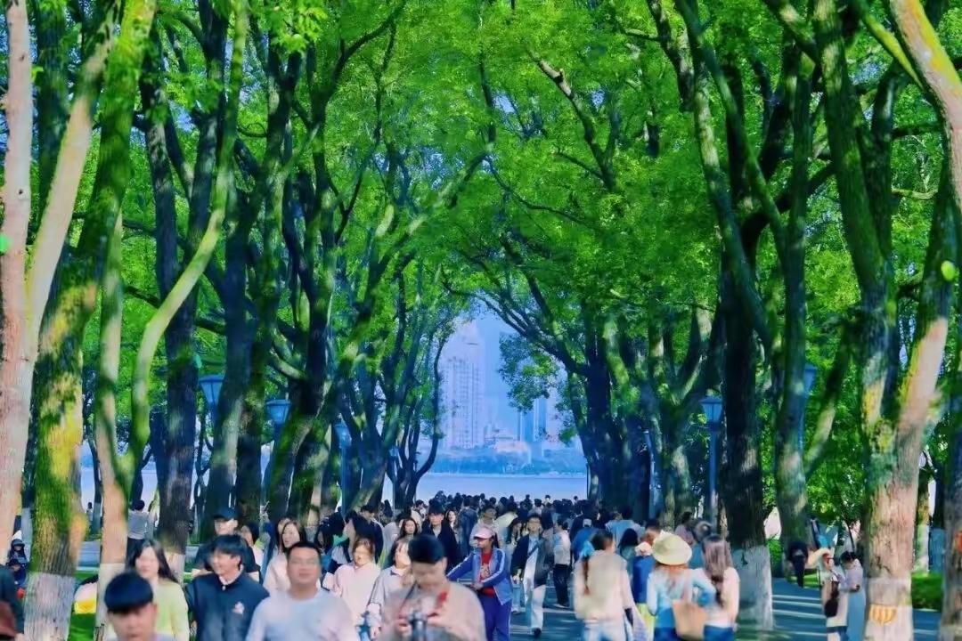 南昌县：向县级大城市行列稳步迈进按照城市规模划分标准，城区常住人口达到10