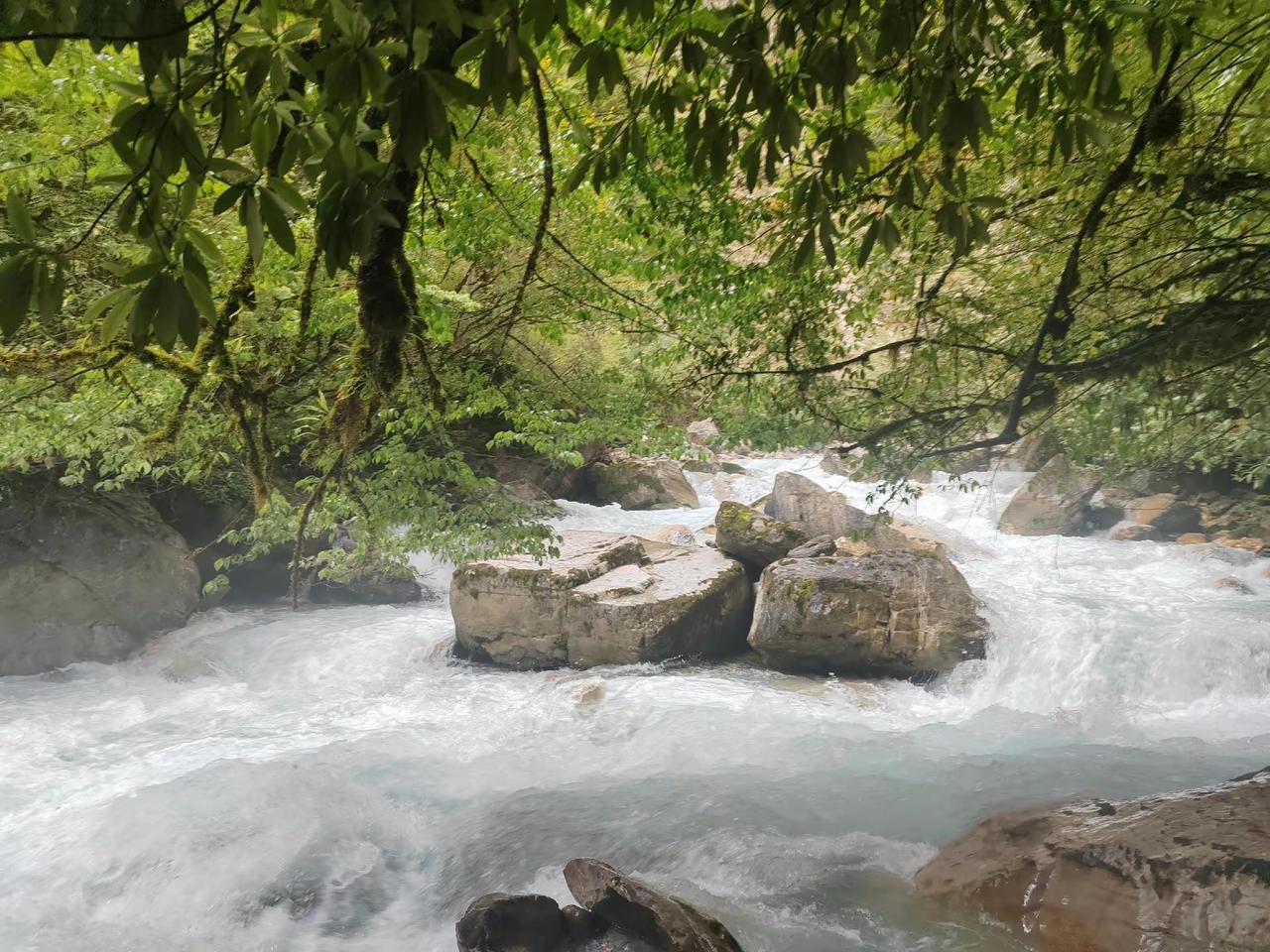 东拉山大峡谷徒步，穿行密林河谷，山石流水相伴，远离喧嚣，独享这份大自然的宁静。山