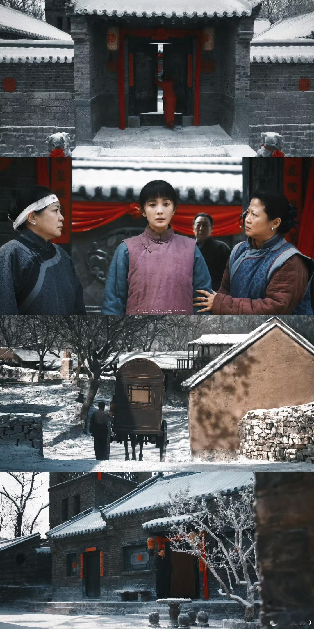这次的金鹰奖，我其实更看好杨幂|杨幂这次主演的《生万物》，确实好看，演技也非常好