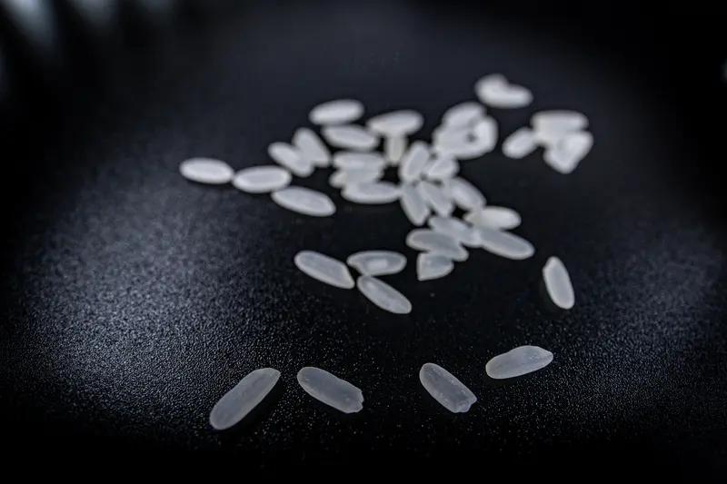 大米为何是白色的？这要从水稻本身讲起。水稻刚收割时带稻壳，呈金黄