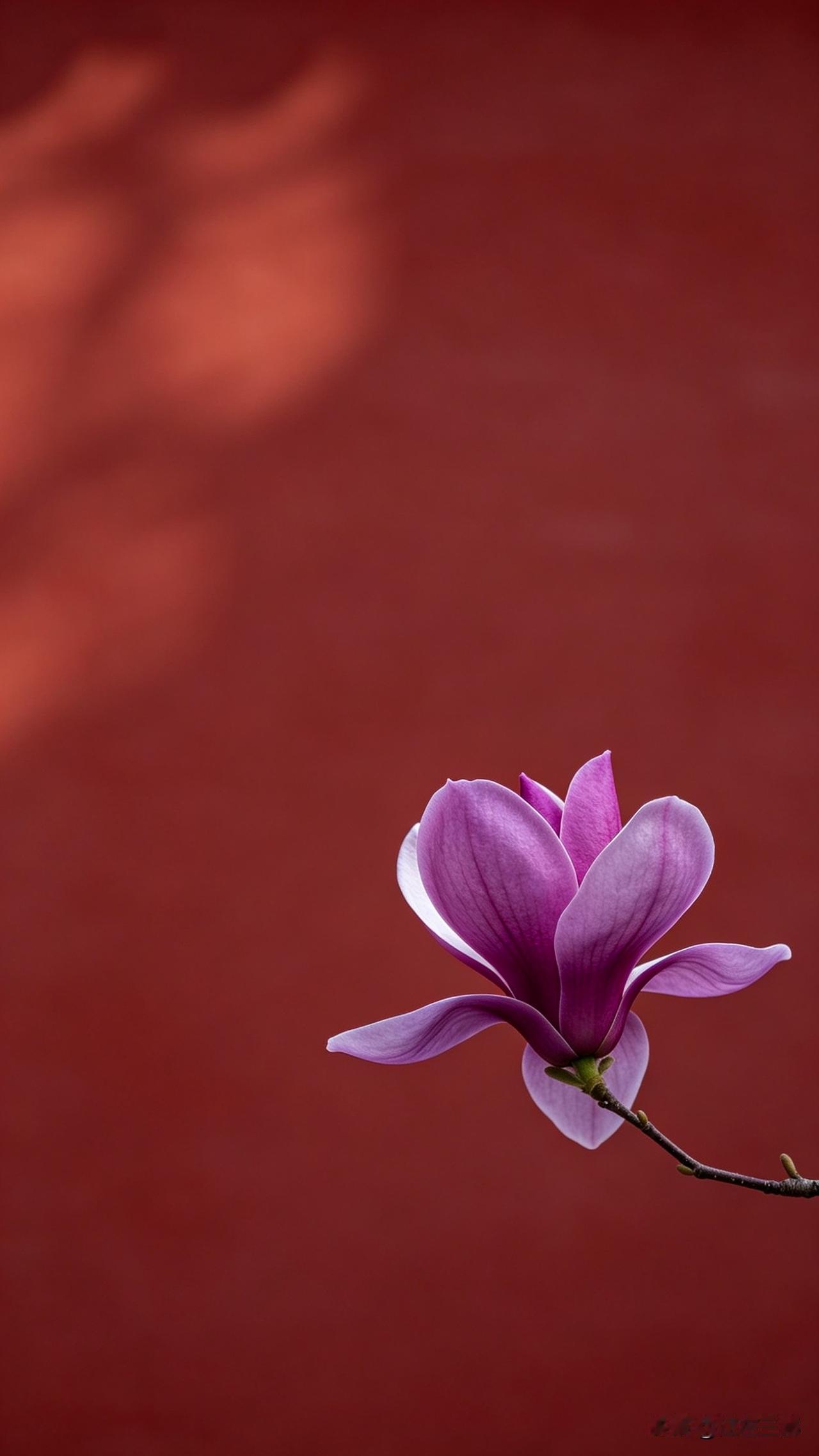 很有道理的一段话：“人生的顺序，不要搞反了:1，睡觉第一，2，吃饭第二，3，运