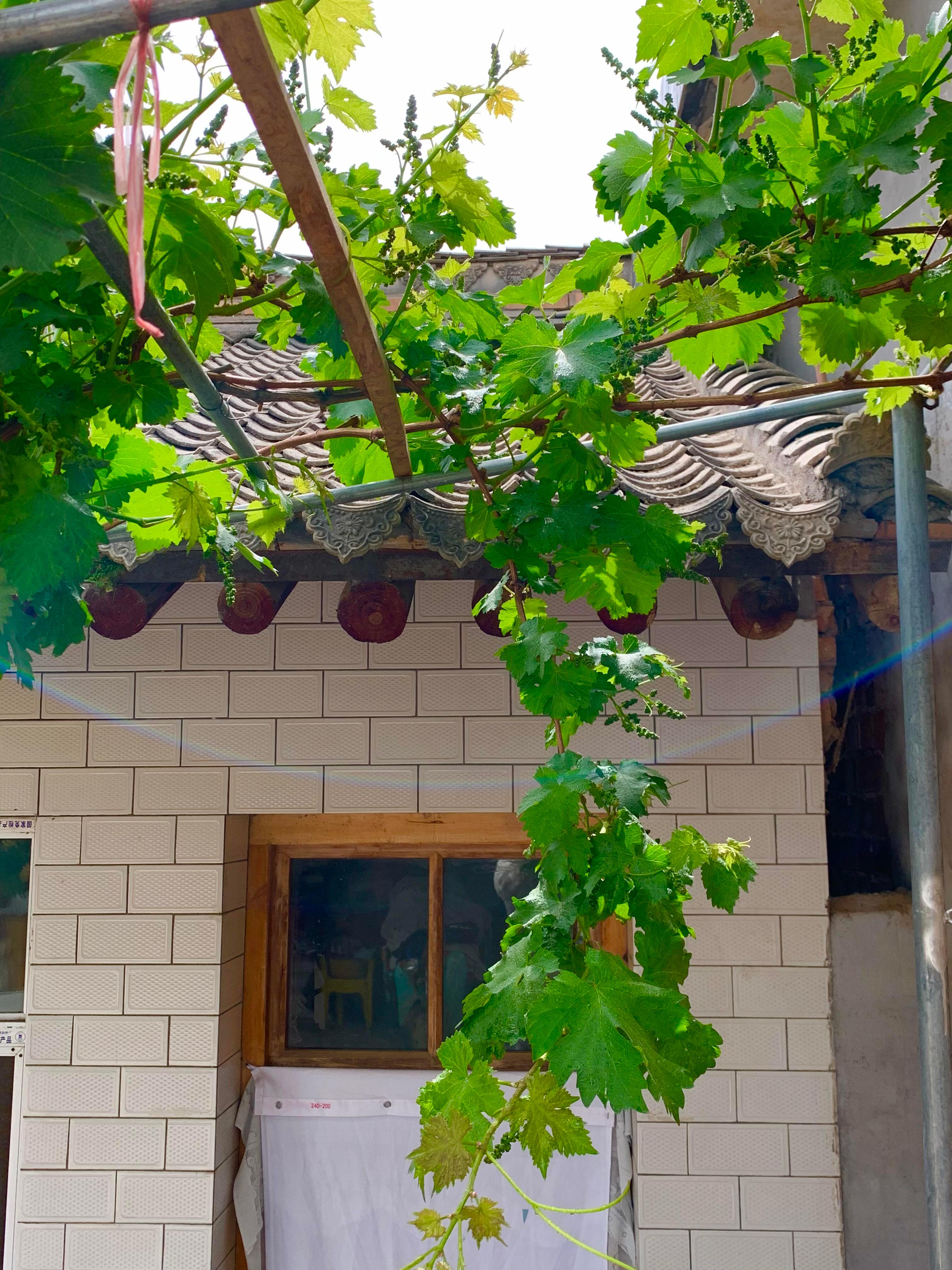 那些时光漫长仿佛夏天永远晴朗