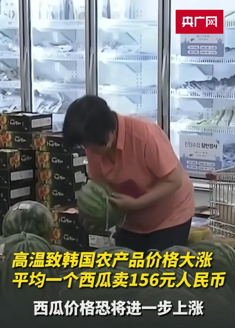 你嘲笑韩国人西瓜贵的时候，泰国人也在嘲笑你榴莲贵。就没人想着去韩国卖西瓜吗？好