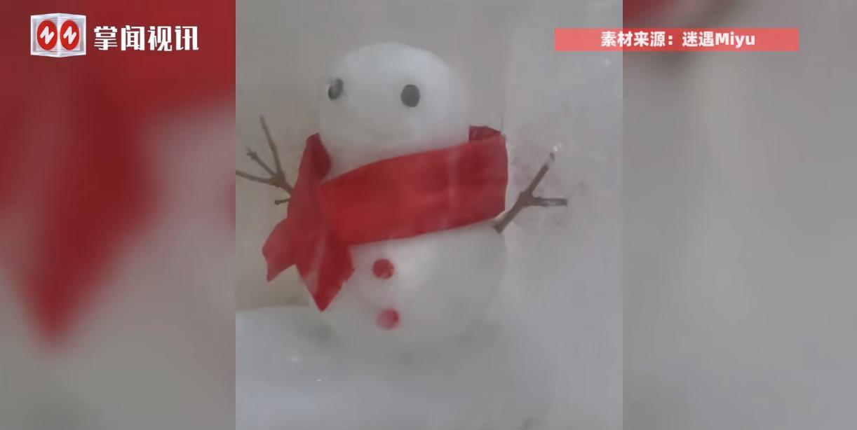 “人怎么能这么聪明！”近日，辽宁沈阳，一男子为了保存住冬天堆得雪人，突发奇想把它