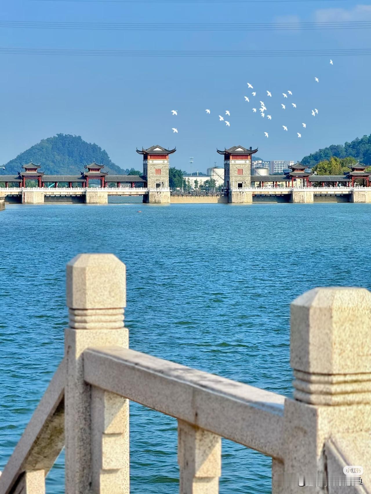 在广州待久了，总想着找个地方喘口气——不用挤人潮，不用赶行程，踩踩石板路，吹吹江